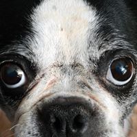 Millie Watson Photo 8