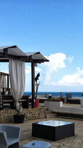 Juan Casarez Photo 8