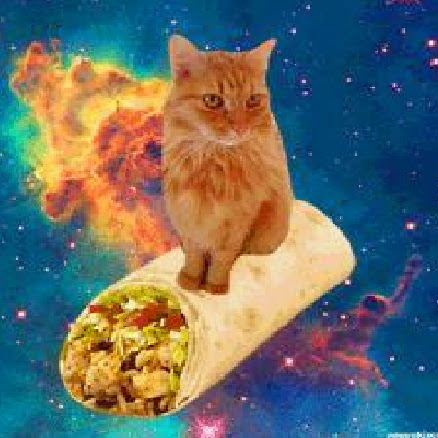 Michelle Mower Photo 11