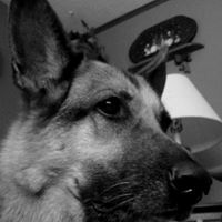 Terri Lambert Photo 9