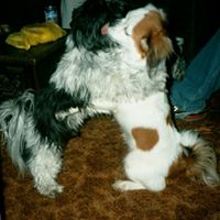 Debbie Marr Photo 16