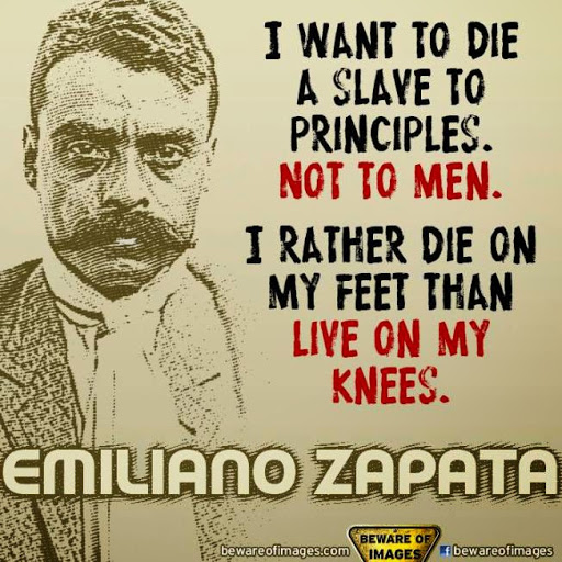 Lucky Davis Photo 18