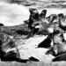 Herbert Lang Photo 14