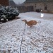 Sean Yoder Photo 18