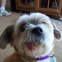 Debbie Hartz Photo 2