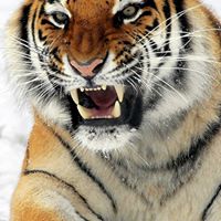 Lillian Preston Photo 12