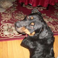 Penny Power Photo 18