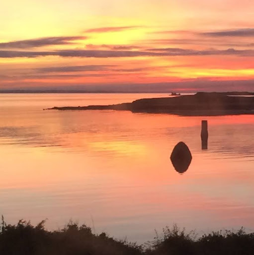 David Donnelly Photo 10