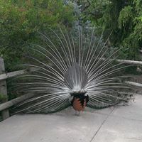 Crystal Grady Photo 16