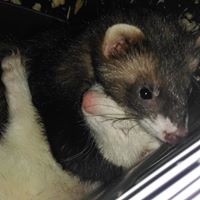 Teresa Penn Photo 14