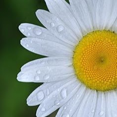 Pamela Stevens Photo 13