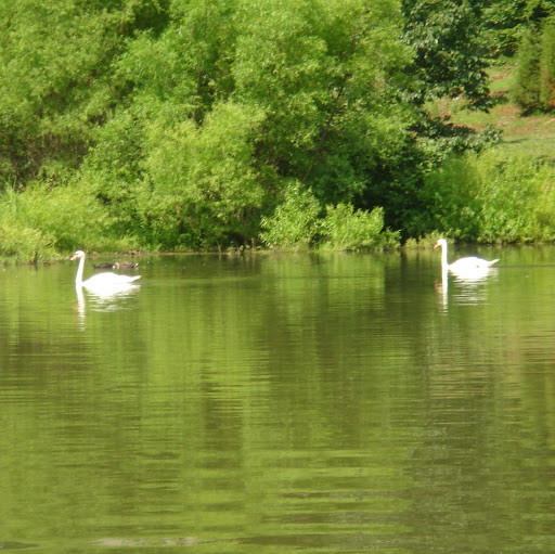 Sandra Phillips Photo 44