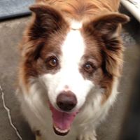 Laura Forester Photo 13