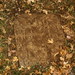 Sarah Kimbrough Photo 22
