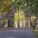 Lynn Walls Photo 22
