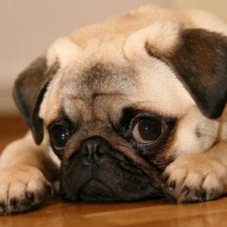 Christi Clark Photo 19