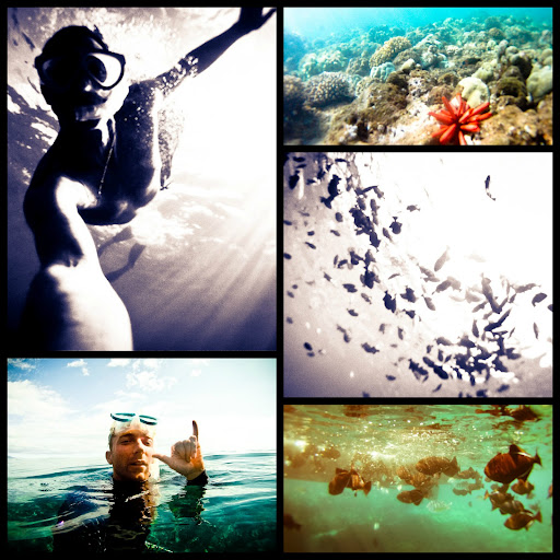 John Hampton Photo 9