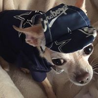 Elizabeth Vazquez Photo 39