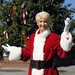 Pat Koch Photo 8