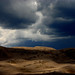 Sandra Rains Photo 34