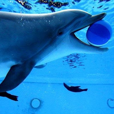 Chelsey Garrett Photo 5