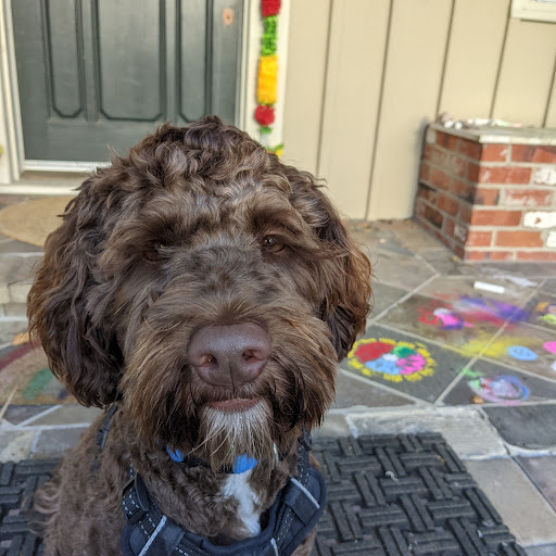 Aaron Floyd Photo 26