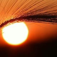 Richard Bowling Photo 14