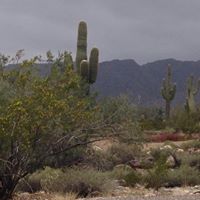 Jane Mcneil Photo 17 Jane Mcneil Photo 17