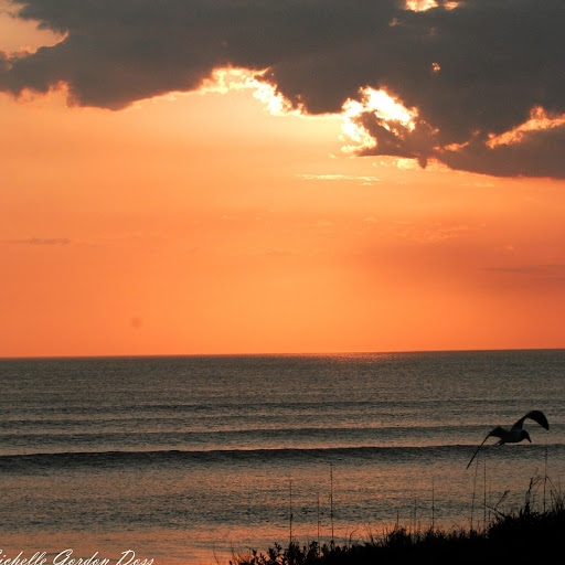 Michelle Doss Photo 18