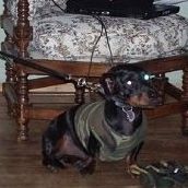 Marlyn Robinson Photo 2