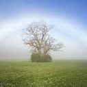 James Obrien Photo 22