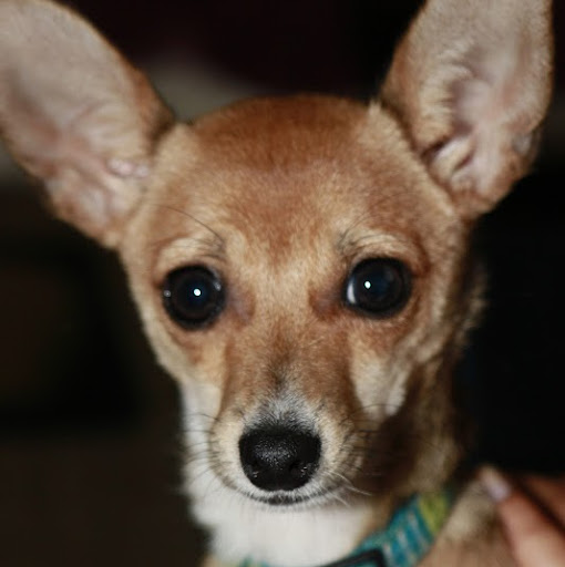 Staci Davis Photo 12