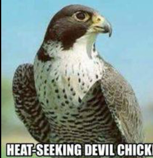 Gail Hamilton Photo 38