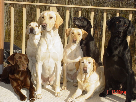 Robin Schaffer Photo 15