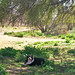 Juanita Winter Photo 10