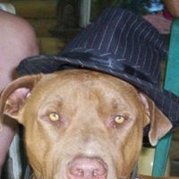 Marsha Cook Photo 19