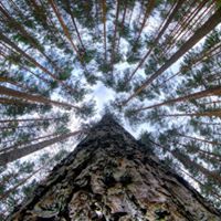 Kimberly Koehler Photo 10