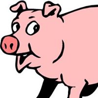 Sandy Clements Photo 8