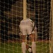 Kevin Gannon Photo 27