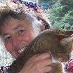 Ellen Stein Photo 20