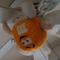 Terri Potts Photo 22