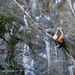 Bruce Musgrove Photo 10