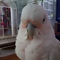 Sandra Vollmar Photo 2