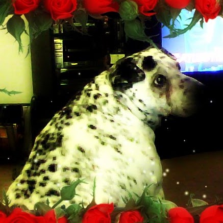 Jill Hudson Photo 25