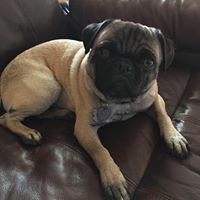 Kathryn Stanley Photo 21