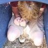 Samuel Short Photo 32