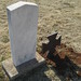 Charles Callaway Photo 42