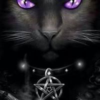 Danielle Mccombs Photo 7