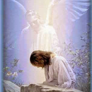 Lawrence Taylor Photo 26 Lawrence Taylor Photo 26