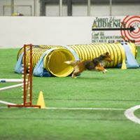 Cheryl Owen Photo 24 Cheryl Owen Photo 24